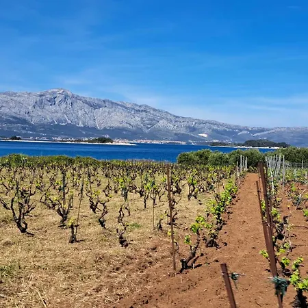 Apartman Ana By The Sea